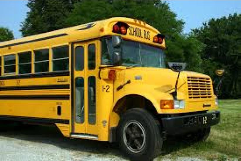Bus